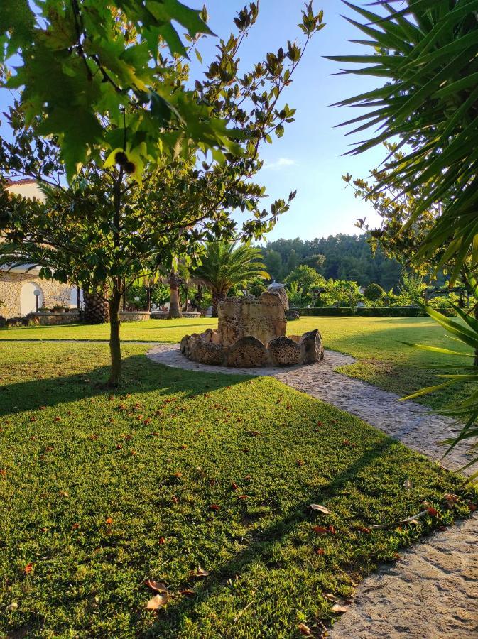 Chrouso Apartments Paliouri Extérieur photo